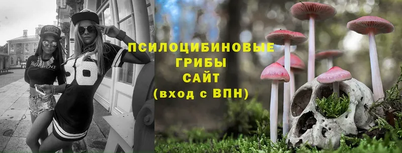 Псилоцибиновые грибы Magic Shrooms  купить  цена  Горнозаводск 